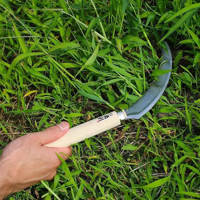 KAKURI Japanese Sickle Garden Tool 6.7" [Serrated Blade] Made in Japan, Garden Sickle for Harvesting and Weeding, Razor Sharp Japanese Stainless Steel Blade by GreenHaven Gardens