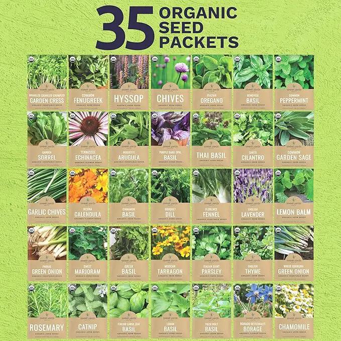 Organic Herb Seeds Variety Pack - 35 Individual Packs - 2025 Season - Basil, Cilantro, Dill, Thyme, Parsley and More! for Indoor & Outdoor Planting (Non-GMO, Certified Organic) by GreenHaven Gardens