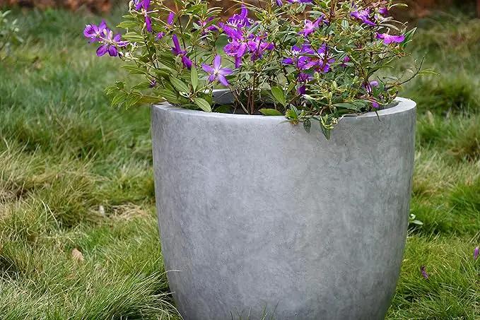 Kante 18 Inch Dia Round Concrete Planter, Indoor Outdoor Large Plant Pot with Drainage Hole and Rubber Plug for Home Patio Garden, Natural Concrete by GreenHaven Gardens
