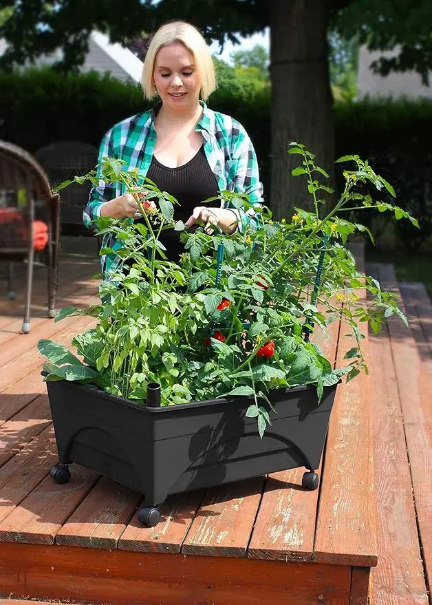 Emsco Group City Picker Raised Bed Grow Box – Self Watering and Improved Aeration – Mobile Unit with Casters by GreenHaven Gardens