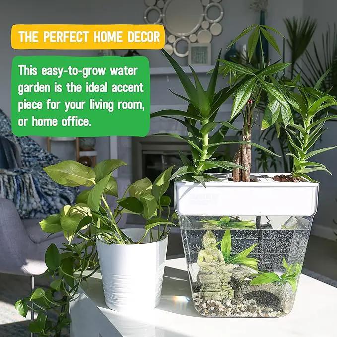 Back to the Roots Indoor Hydroponic Garden - 3 Gallon Self Watering, Mess-Free Planter for Herbs, Microgreens, Bamboo, Succulents, and Houseplants, Green by GreenHaven Gardens