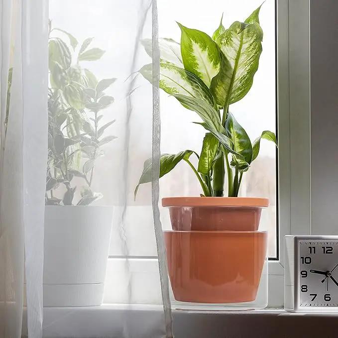 D'vine Dev 6 Inch Design Self Watering Pot for Indoor Plants, Terracotta Planter with Cylinder Glass Cup, Set of 2, 37-X-B-2 by GreenHaven Gardens