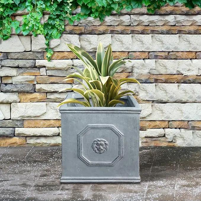Kante Square Lion Head Concrete Planter, Classic English Style Plant Pot with Drainage Hole and Rubber Plug for Indoor Outdoor Garden Patio Home, 10.2"x10.2"x 10.2" Antique Gray by GreenHaven Gardens