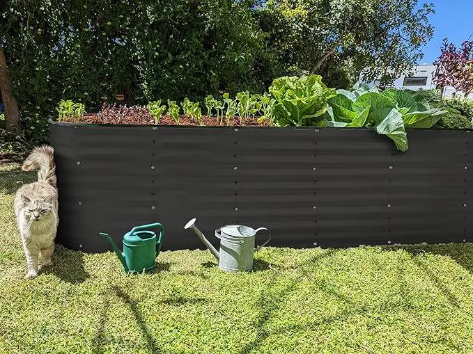 Galvanized Raised Garden Beds Outdoor // 8×2×2 ft Planter Raised Beds for Gardening, Vegetables, Flowers (Black) // Large Metal Garden Box // Patented Tool-Free Design by GreenHaven Gardens
