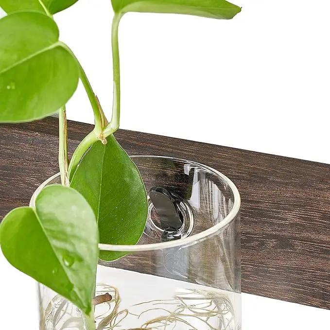 Mkono Propagation Station Wall Planter Glass Cylinder Vase Hanging Terrarium for Hydroponics Plant Cutting Indoor Outdoor Decor Brown, Plant Lover Gift by GreenHaven Gardens