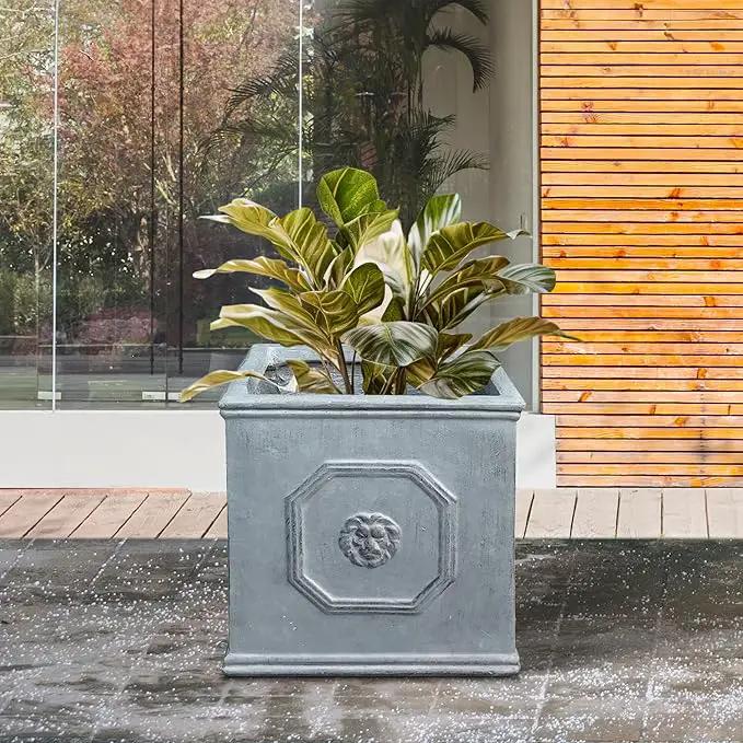 Kante Square Lion Head Concrete Planter, Classic English Style Plant Pot with Drainage Hole and Rubber Plug for Indoor Outdoor Garden Patio Home, 10.2"x10.2"x 10.2" Antique Gray by GreenHaven Gardens