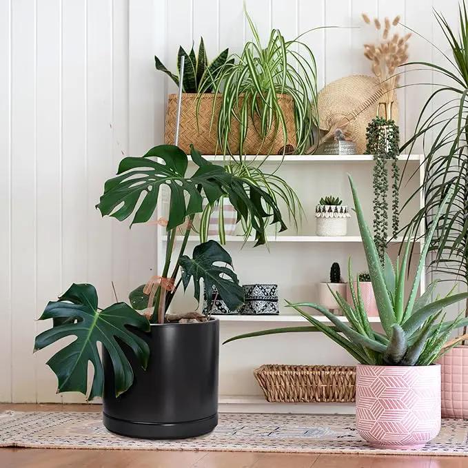 D'vine Dev 14 Inch Ceramic Planter Pot with Drainage Hole and Saucer, Indoor Cylinder Round Planter Pot, Black, 94-O-G-2 by GreenHaven Gardens