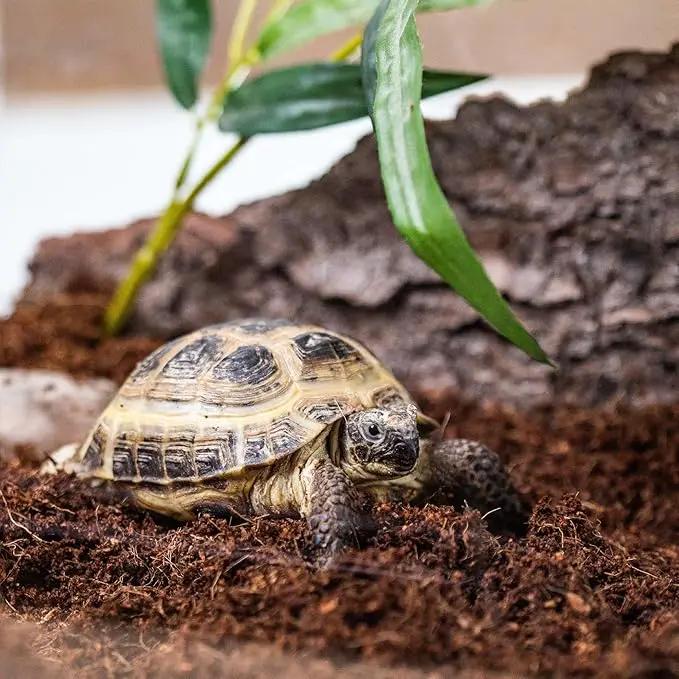 Create Your Perfect Terrarium with Gardenera Terrarium Bedding - Expertly Crafted for Optimal Plant Health - 2 QUARTS by GreenHaven Gardens