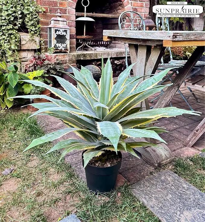 SUNPRAIRIE 32 Inch Tall Large Faux Agave Plant with Two-Tone Sawtooth Edged Leaves; Planted in Black Pot with Real Stone Pebbles. Large Artificial Plants Indoor and Outdoor. by GreenHaven Gardens