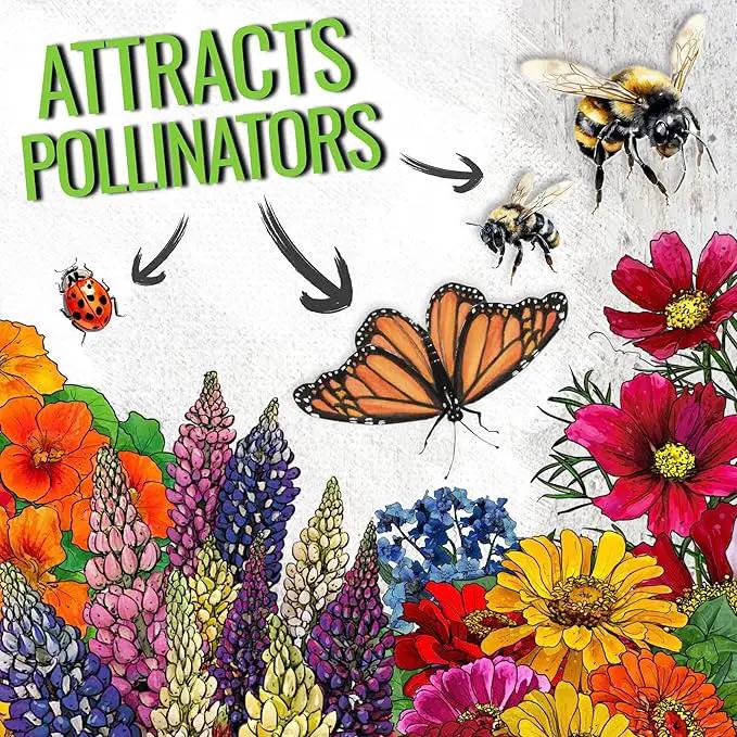 Seed Needs Wildflower Seeds Hummingbird and Butterfly Seed Mix | 2 Packs (1 Ounce Each) No Filler 23 Varieties Garden Seeds Annual & Perennial Species | Pollinator Attracting Flower Seed | Bulk by GreenHaven Gardens