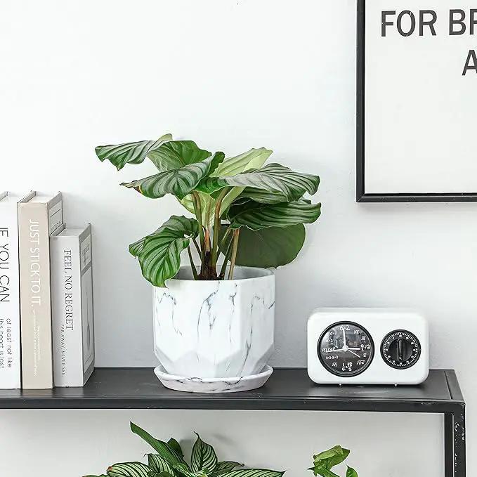 Large 7 Inch Marble White Plant Pots Planters with Saucer Tray, Mesh Pad, Drainage Hole and Stopper, Hand Glazed Flower Pot, Garden Indoor Outdoor Planter, Modern Home Decor (Ceramic, White) by GreenHaven Gardens