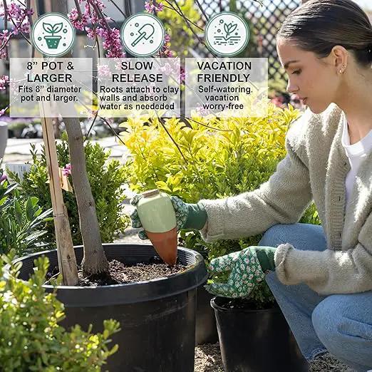 Plant Watering Globes - Olla Terracotta Watering Spikes - Hold 16 Ounces - Olla Water System for Plants - Self Water Method - Slow Releaese Drip Irrigation Terracotta Stakes by GreenHaven Gardens