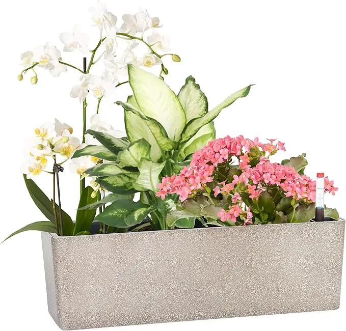 GardenBasix Elongated Self Watering Planter Pots Window Box 5.5 x 16 inch Indoor Home Garden Modern Decorative Planter Pot for All House Plants Flowers Herbs (Coffee,1-Pack) by GreenHaven Gardens