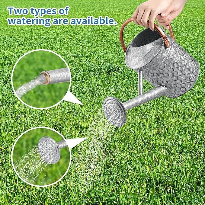 1 Gallon Metal Watering Can for Outdoor Indoor Plants, Galvanized Watering Can with Removable Spray Spout, Ideal for Garden Watering by GreenHaven Gardens