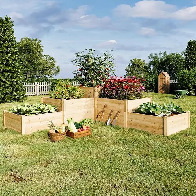 AMERLIFE 3-Tier Raised Garden Bed for Outdoor Gardening, Fir Wood Planter Box with Dividers, Tool-Free Assembly, Garden Box Perfect for Vegetables, Herbs, and Flowers by GreenHaven Gardens
