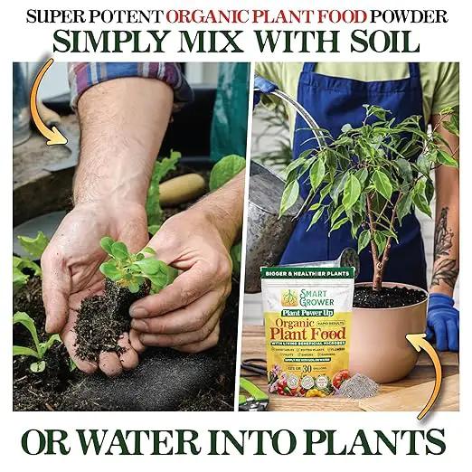 Organic Plant Food with Beneficial Microbes, Fast Acting Vegan Fertilizer for Vegetable Garden, Outdoor & Indoor Plant Fertilizer, Miracle Growth for Plants Concentrated Value 125GR Makes 30 gallons by GreenHaven Gardens