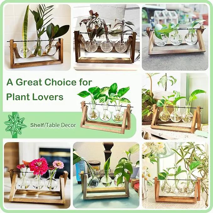 Ivolador Plant Propagation Station,Bulb Plant Terrarium with Wooden Stand,Unique Gardening Gifts for Women Plant Lovers,Hydroponic Indoor Planter Home Office Garden Wedding Decor-3 Bulb Glass Vases by GreenHaven Gardens