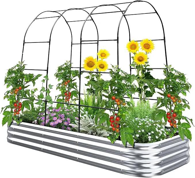 KING BIRD Raised Garden Bed with Arched Trellis Galvanized Planter Garden Box Outdoor for Gardening, Climbing Vegetables, Flowers 7.87x3.94x0.98 Ft, Silver by GreenHaven Gardens