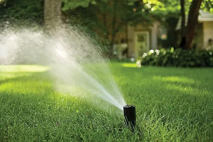 Rain Bird CP5000NP Purple Top Non-Potable Water Simple Adjust Gear Drive Rotor, Adjustable 40° - 360° Pattern, 26' - 38' Spray Distance by GreenHaven Gardens
