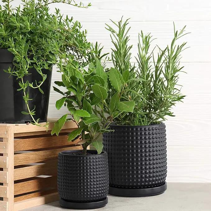 D'vine Dev 6 Inch 4 Inch Ceramic Indoor Planter Pots with Drainage Hole and Saucer, Beaded Design Flower Pots, Set of 2, Matte Black, 27-D-U-6 by GreenHaven Gardens