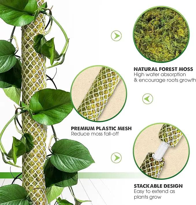 DUSPRO Stackable Mesh Moss Pole for Plants Monstera Potted Plant Stakes for Indoor Plants Extendable Plant Pole Moss Sticks for Plants Climbing Vine Supporting Monstera Trellis 4Pack 71'' by GreenHaven Gardens