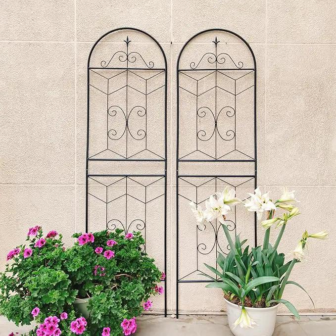 Metal Garden Trellis Rustproof Trellis for Climbing Plants Outdoor Flower Support (Black-2 Pack, 71"x19.7") by GreenHaven Gardens