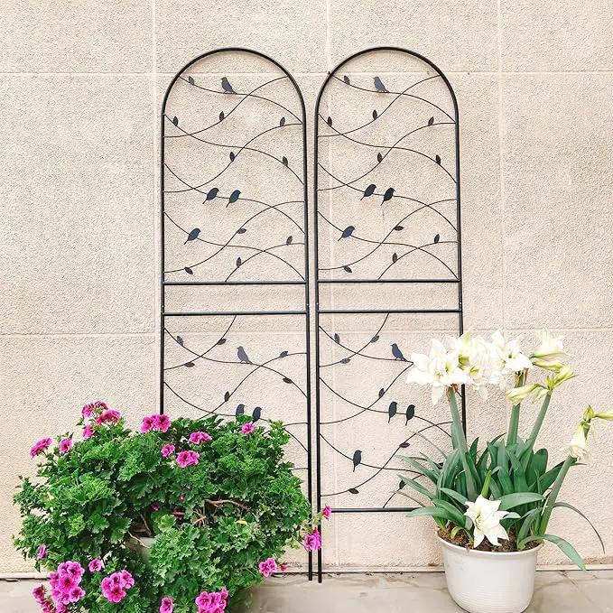 Metal Garden Trellis Rustproof Trellis for Climbing Plants Outdoor Flower Support Bird Deco (Black-2 Pack, 71"x19.7") by GreenHaven Gardens