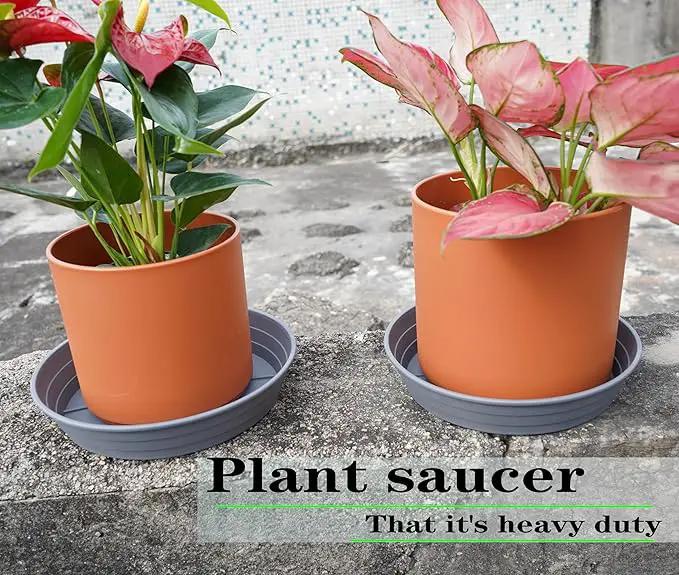 Plant Saucer 6 Inch 4 Pack 6 8 10 12 14 16 18 20 25, Plastic Plant Trays for Pots，Extra-Deep Plant Water Dray Tray, Bird Bath Bowl, Heavy Flower Plant saucers Indoors and Outdoor No Holes 6in-4 grey by GreenHaven Gardens