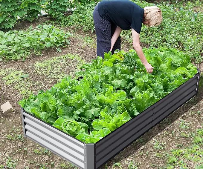 Domi Galvanized Raised Garden Bed, Outdoor Planter Garden Boxes Large Metal Planter Box for Gardening Vegetables Fruits Flowers, Silvery (8x4x1ft) by GreenHaven Gardens