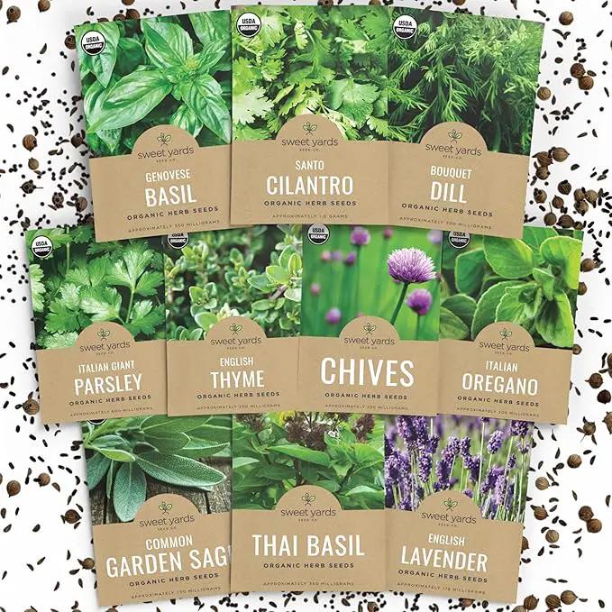 Organic Herb Seeds Variety Pack - 10 Individual Packs - 2025 Season - Basil, Cilantro, Dill, Thyme, Parsley and More! for Indoor & Outdoor Planting (Non-GMO, Certified Organic) by GreenHaven Gardens