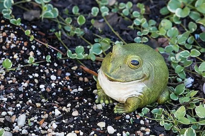 Evergreen Cute Portly Frog Outdoor Statue and Secret Key Holder | Weatherproof and Outdoor Safe | Garden Sculpture | Porch Garage or Patio Home Decor | 6 Inches Tall by GreenHaven Gardens