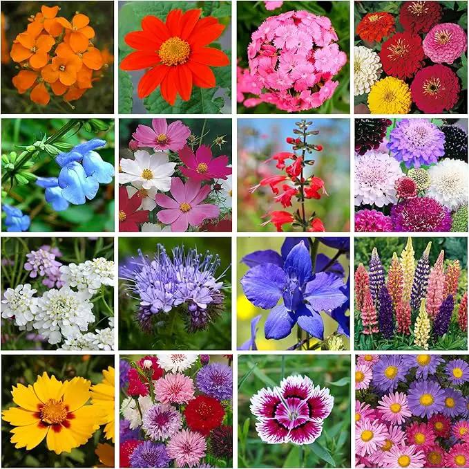 Bulk Wildflower Seed - Bird & Butterfly Garden Seed Mix | Bulk 300,000+ Annual & Perennial Flower Seeds for Planting - Attracts Hummingbirds & Butterfly | No Messy Bags or Packets | Bulk 1 Pound Jar by GreenHaven Gardens