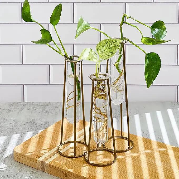 Propagation Station Terrariums with Gold Metal Stand - Kate Aspen 3 Glass Test Tube Planters for Indoor Plant, Air Plants, Plant Clippings, Cut Flowers, Herbs, Succulents | Home Decor Table Decoration by GreenHaven Gardens