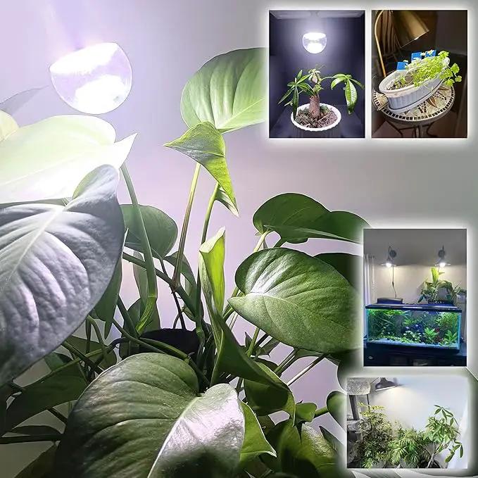 E26 A19 LED Plant Grow Light Bulbs Indoor Plants Full Spectrum,LED Sun Light Bulbs Plant Growing 100W Equivalent with Balanced Spectrum 5000K Red Blue Yellow for Seeds Greens Flower Fruit Garden,6Pack by GreenHaven Gardens