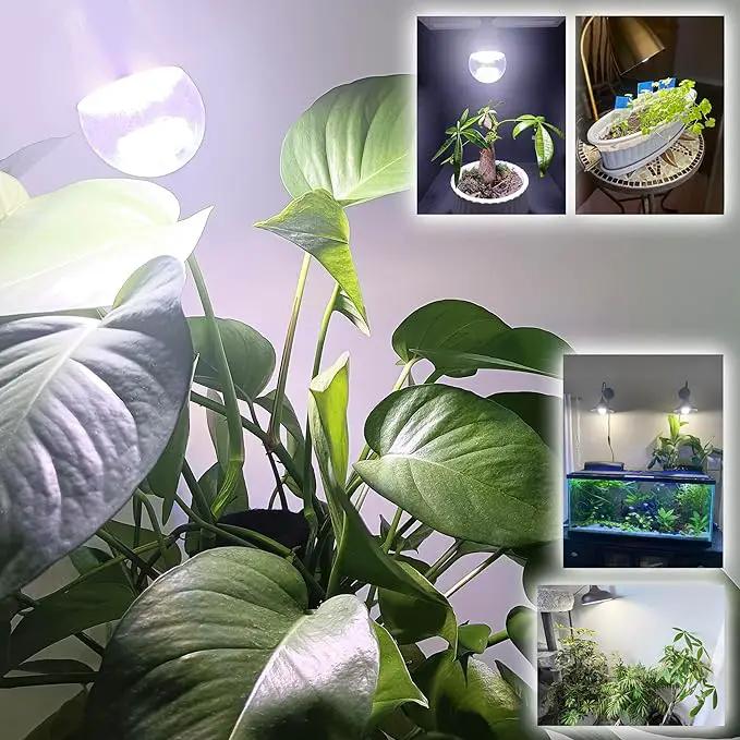 Grow Light Bulbs E12 Candelabra Small Screw Base for Indoor Plants Full Spectrum,Grow LED Light Bulb 10W with Balanced Spectrum 5000K Blue Red for Seeds Greens Laboratory,School,Greenhouse Garden,6Pcs by GreenHaven Gardens