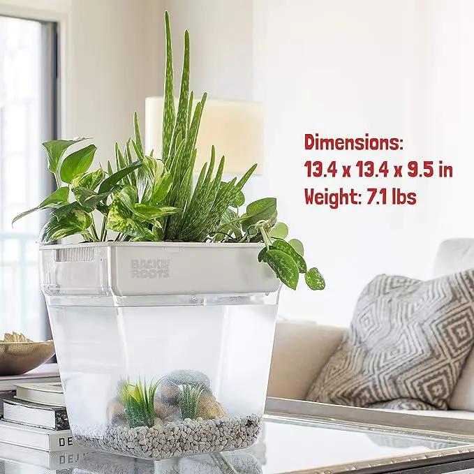 Back to the Roots Indoor Hydroponic Garden - 3 Gallon Self Watering, Mess-Free Planter for Herbs, Microgreens, Bamboo, Succulents, and Houseplants, Green by GreenHaven Gardens
