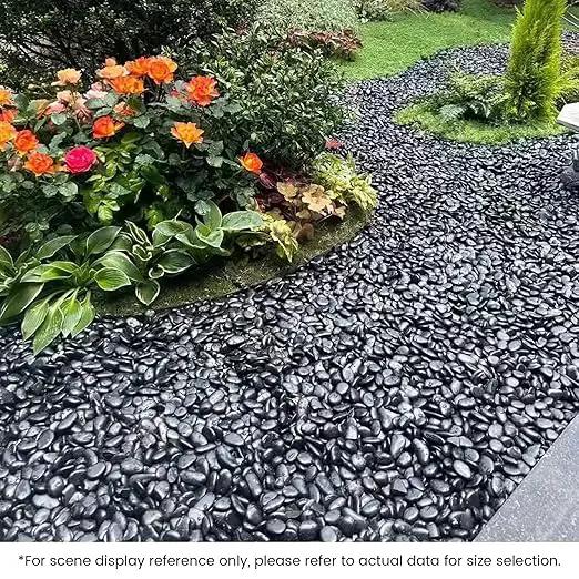 SIDONG 10 LB Black River Rocks, 0.3-0.5 Inches High Polished Pebbles for Indoor Plants, Aquarium Rocks Used in Fish Tank, Decorative Stones for Plants, Vases, Home Décor, Crafting, Garden Landscaping by GreenHaven Gardens