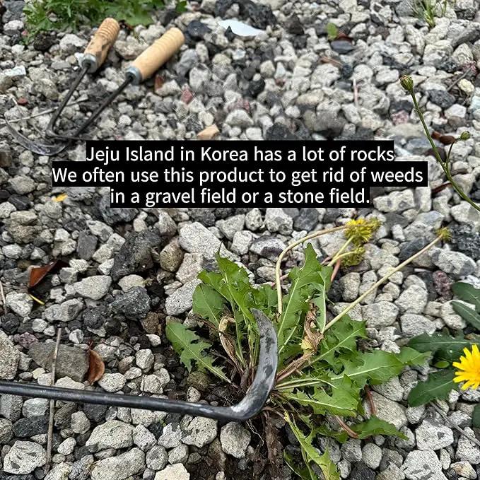 Korean Weed Puller Tool,Root Removal,Garden Weeder for Lawn&Flower Bed Maintenance,Portable Garden Weeder Tool,For Hand Weeder Puller for Vegetable Gardening Backyard Farm Planting Weeding Tool by GreenHaven Gardens