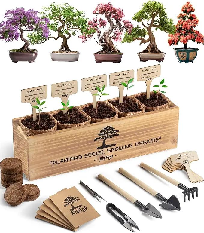 Bonsai Tree Kit – 5X Unique Japanese Bonzai Trees | Complete Indoor Bonsai Starter Kit for Growing Bonsai Plants with Tools & Planters – Gardening Gifts for Women & Men by GreenHaven Gardens