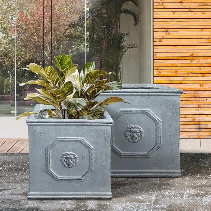 Kante Square Lion Head Concrete Planter Set of 2, Classic English Style Plant Pot with Drainage Hole and Rubber Plug for Indoor Outdoor, 10.2"x10.2"x10.2" and 12.6"x12.6"x12.6" Antique Gray by GreenHaven Gardens