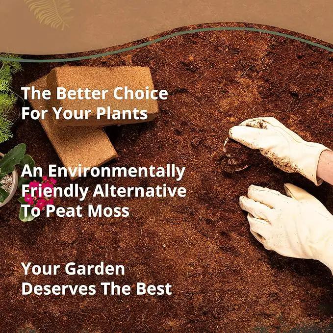 Buffered Coco Bliss (10lbs) - 100% Buffered Coco Coir - Organic Coco Coir for Plants, Garden Soil, & Potting Mixes - Coconut Fiber Substrate Mixes with Potting Soil for Indoor Plants & Outdoor Plants by GreenHaven Gardens
