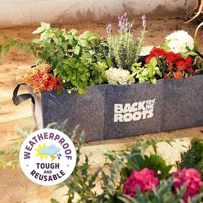 Back to the Roots Breathable Grow Bed, Provides More Oxygen to Roots, Assembles in Seconds 9 cu. ft by GreenHaven Gardens