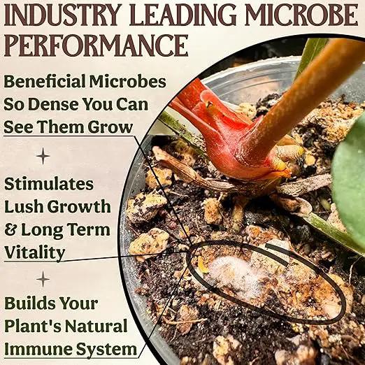 The All-in-One Complete Organic Plant Food, Indoor Plant Food for Houseplants, Organic Fertilizer for Vegetable Gardens, 3lb =75 Formulated Servings Feeds 150 gal Instantly and Slow Release by GreenHaven Gardens