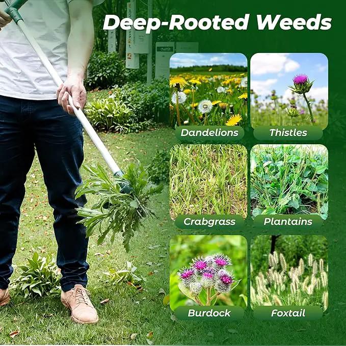 Walensee Weed Puller, Stand Up Weeder Hand Tool, Long Handle Garden Weeding Tool with 3 Claws, Hand Weed Hound Weed Puller for Dandelion, Standup Weed Root Pulling Tool and Picker, Grabber (1 Pack) by GreenHaven Gardens