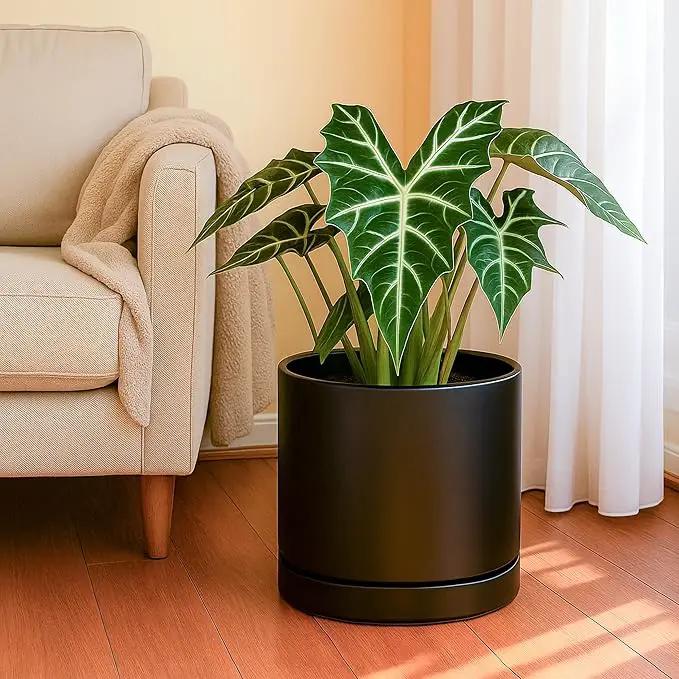 D'vine Dev 10 Inch Ceramic Planter Pot with Drainage Hole and Saucer, Indoor Cylinder Round Planter Pot, Black, 94-O-E-2 by GreenHaven Gardens