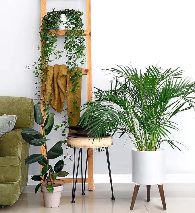 D'vine Dev 10 Inch Planter Pot with Stand, Mid-Century Tall Plant Pot with Legs for Indoor Plants, Medium, White, 88-O-B-1 by GreenHaven Gardens