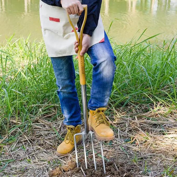 Berry&Bird Gardening Digging Fork, 4-Tine Stainless Steel Pitchfork, 43.9" Heavy Duty Spading Fork with D-Grip Handle and Ergonomic Ash Wood Handle for Digging, Planting, Cultivating, Aerating by GreenHaven Gardens