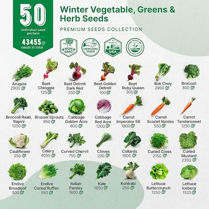 50 Winter Vegetable Garden Seeds Variety Pack - 43,450+ Non-GMO Heirloom Seeds for Outdoors & Indoor Home Gardening, Including Kohlrabi, Lettuce, Radish, Onion, Choy, Spinach, Cauliflower, Collards by GreenHaven Gardens