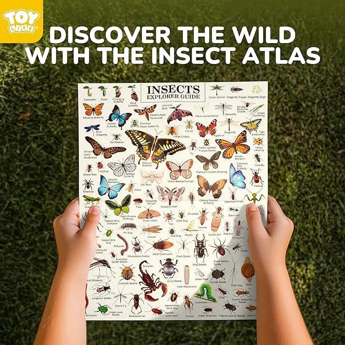 TOY Life Kids Explorer Bug Catcher Kit with Safari Costume, Binoculars Kids Outdoor Toys, Bug Toys, Butterfly Net, Camping Set Outdoor Activities Adventure Kit Nature Exploration Gifts Kid Ages 3-12 by GreenHaven Gardens
