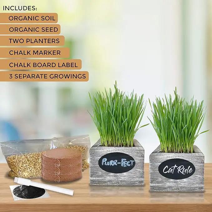 Cat Grass for Indoor Cats Kit – Best Value Organic Seed & Soil for 3 Growing Cycles, Natural Hairball Remedy & Cat Gifts (White Wash) by GreenHaven Gardens